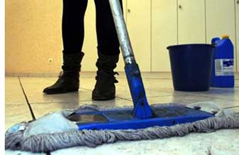 Cariri Plant - Foto 1