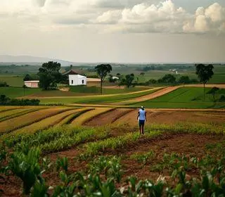 programa de aração de terras