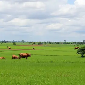 agricultores Juazeiro do Norte