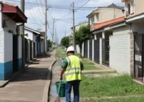 serviços de limpeza urbana e manutenção