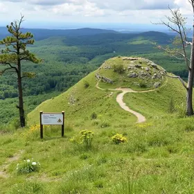 acesso à Colina do Horto