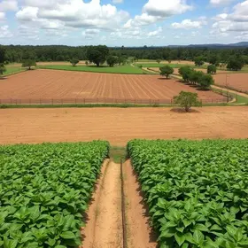 Fazenda Agroecológica no Sítio Jurema