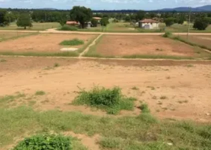 Últimas noticias de Juazeiro do Norte