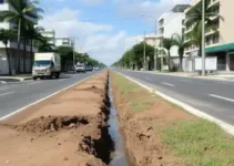 Avenida Maria Ednir