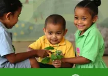 Agosto Verde