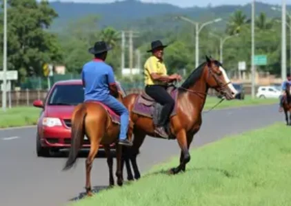 Últimas noticias de Juazeiro do Norte