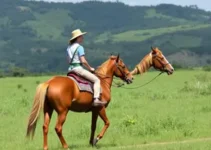 cavalgada da vaquejada de juazeiro do norte