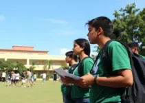 formação grêmios escolares