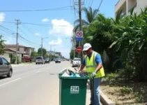 respeitar o dia da coleta