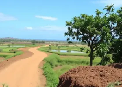 Últimas noticias de Juazeiro do Norte