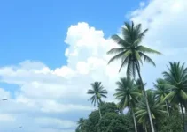 previsão do tempo em Juazeiro do Norte