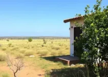 artista de Juazeiro do Norte