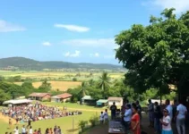 clima ao vivo