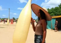 Feito Pipa
