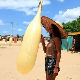 Feito Pipa