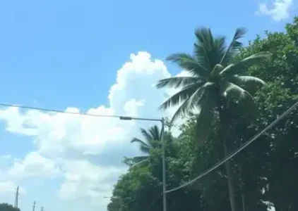 Últimas noticias de Juazeiro do Norte