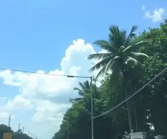 CE: 31°C hoje