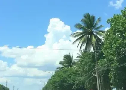 Últimas noticias de Juazeiro do Norte