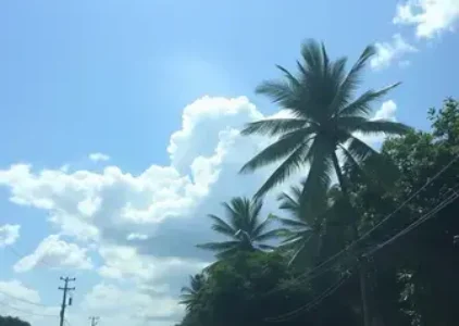 Últimas noticias de Juazeiro do Norte